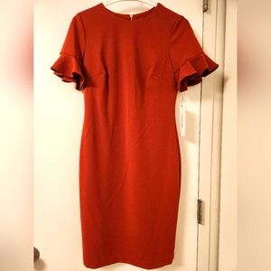NWT Calvin Klein Ruffle Sleeve Dress‎